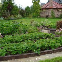 Декоративна градинска украса снимка красива градина със собствените си ръце, а идеята на декора в градината