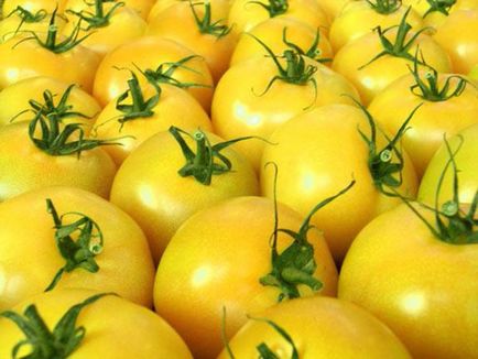 Данни за домати Домати е зрънце, зеленчуци или плодове