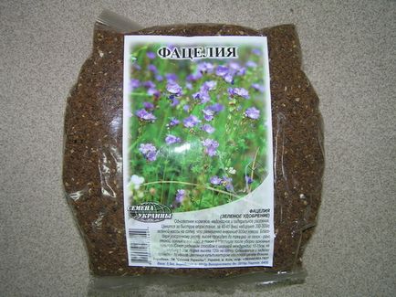 Phacelia като siderate свиня кога и как да се приложи (siderate) Phacelia като зелено торене, когато да се засадят и как да се прилагат