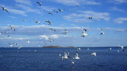 Как да се направи молив море на етапи (море) Как да се направи молив море постепенно