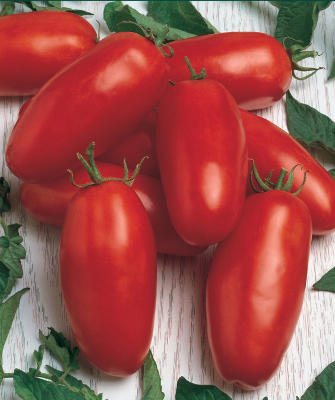Как да изберем сортове домати