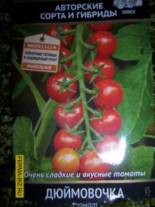 Най-добрите сортове домати описание и снимка, домашно стопанство