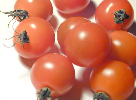 Най-добрите сортове домати описание и снимка, домашно стопанство