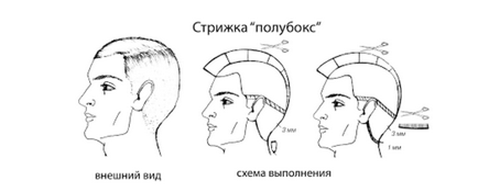 Козметика poluboks предимства и особености на изпълнение