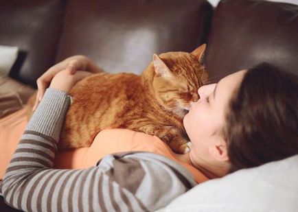 Защо котките спят много защо котката не яде много и спи