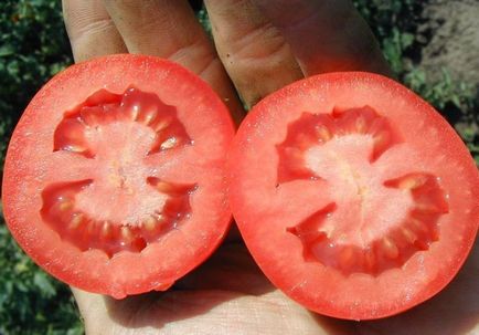 Домат Рио Гранде (25 снимки) домати, първоначалното описание на сорта, мнения