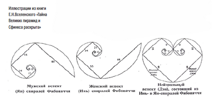 Фибоначи спирала - X час