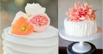 Сватба в коралов цвят - дизайнерски идеи, образът на булката и младоженеца в коралови цветове, снимки