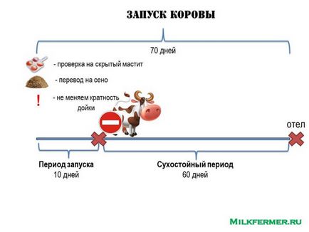 Стартиране на крави