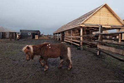 12 идеи, за да печелят повече пари за снимки, снимане на открито училище Олег Samoilov