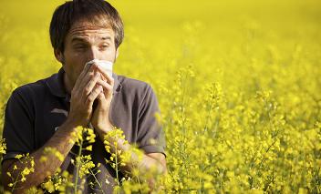 Алергични симптоми ринит и лечение при възрастни