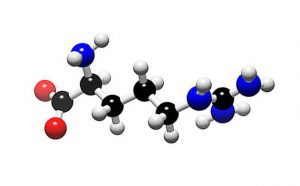 Орнитин аминокиселина неесенциални но необходимо за човешки