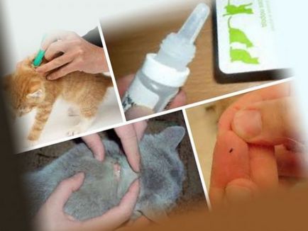 Барове - Капки от бълхи за котки Инструкции за употреба, прегледи