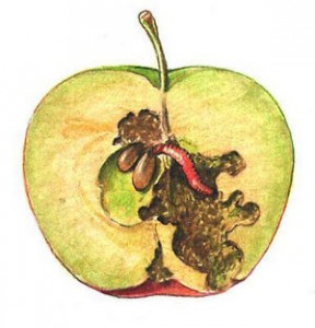 Болести и неприятели на ябълкови дървета и техния контрол