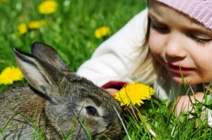 Заболявания зайци лечение и профилактика