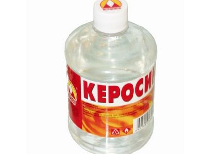 Борбата срещу Medvedkov, градината - знаци, методи (градината) Борбата срещу Medvedkov, градината - табели, методи