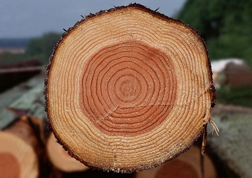 Дървени греди, стандартни размери и други характеристики на материала, използван за