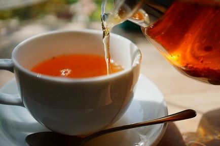 Чай гъбички полезни свойства и противопоказания