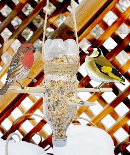 Какво и как да се помогне на птиците през зимата