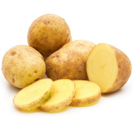 Процесът картофите преди засаждане на лекарството за лечение на картоф от колорадски бръмбар, от
