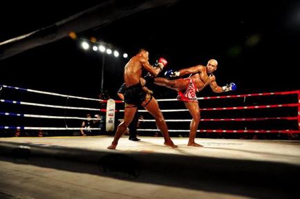 Какво да изберете боксови или тайландски бокс разлики, правила, плюсове и минуси
