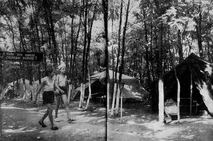Цветарство и озеленяване (Boitchenko д (сайт озеленяване училище) Цветарство и озеленяване (т.е. Бойченко