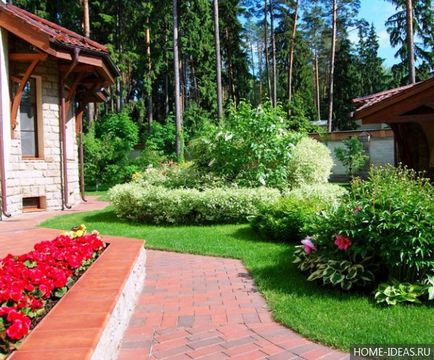 Декоративни храсти за градината и двора