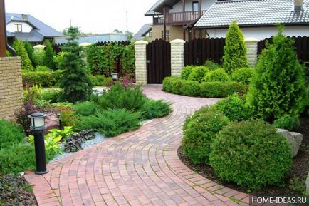 Декоративни храсти за градината и двора