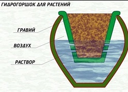 Начало хидропоника полза решения