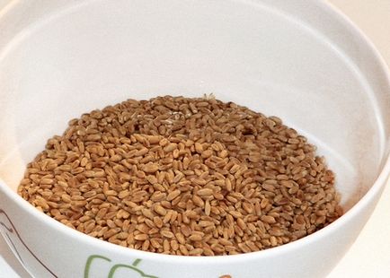 водка рецепти Начало пшеница, как да правят водка от пшеница у дома
