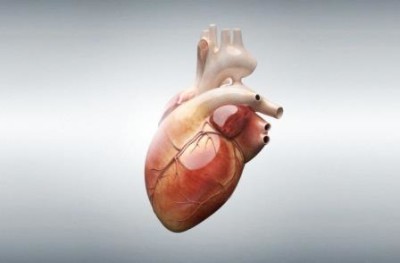 ЕКГ (кардиография) какво е то и диагностични функции