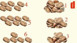 Отгатване на зърната на устен ориентировъчни стойности, като се направи предположение 41 зърна