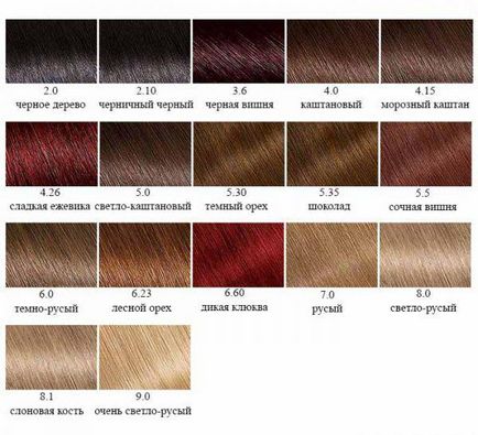 Garnier цвят на косата палитра, композиция, инструкции, ревюта, цветове, нюанси, фото, видео, Garnier