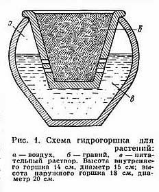 Hydroponic метод за отглеждане на растения без почва в (малко количество вода) Hydroponic метод за отглеждане на растения без почва