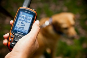 GPS-тракер за кучета (ловни яка Navigator), на кого ще бъде полезен и ще се побере в джоба