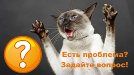 Имена и прякори на котки на известни български хора, котки Ленън (котки на известни личности) Имена и прякори на котки на известни български хора, котки Ленън