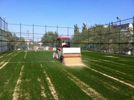 Изкуствена трева г. особено на рула (трева) Изкуствена трева на рула стайлинг функции