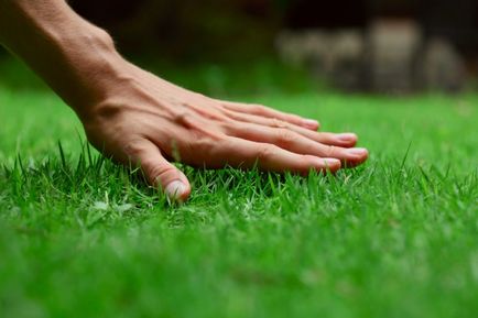 Изкуствена трева на рула стил и избор на лепило технология