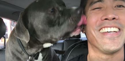 История спасяване куче, който победи бившия собственик, и временно местожителство