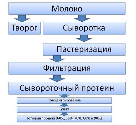 Как да си направим производството на протеини