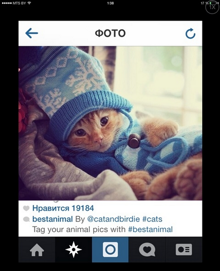 Как да добавите Instagram