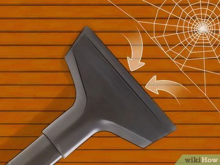 Как да се отървем от паяци в къщата