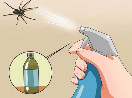 Как да се отървем от паяци в дома си