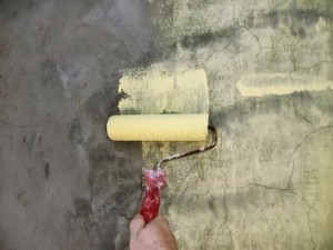 Как да рисувате бетонната ограда подготовка, процеса и производители