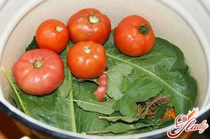 Как да туршия краставици и домати дясно