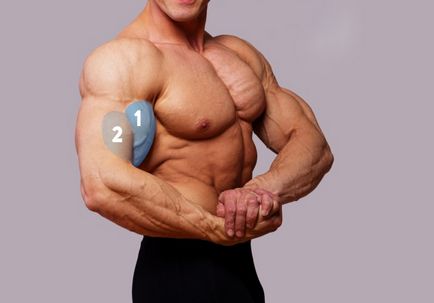 Как да се изгради на бицепса - правилната посока за увеличаване на популярната мускула