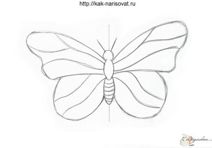 Как да се направи етапи пеперуда молив за начинаещи