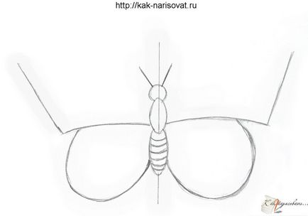 Как да се направи етапи пеперуда молив за начинаещи