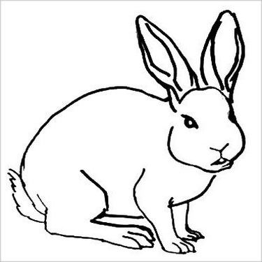 Как да нарисувате заек и заек оцветяване