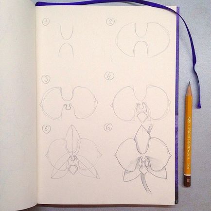 Как да се направи орхидея